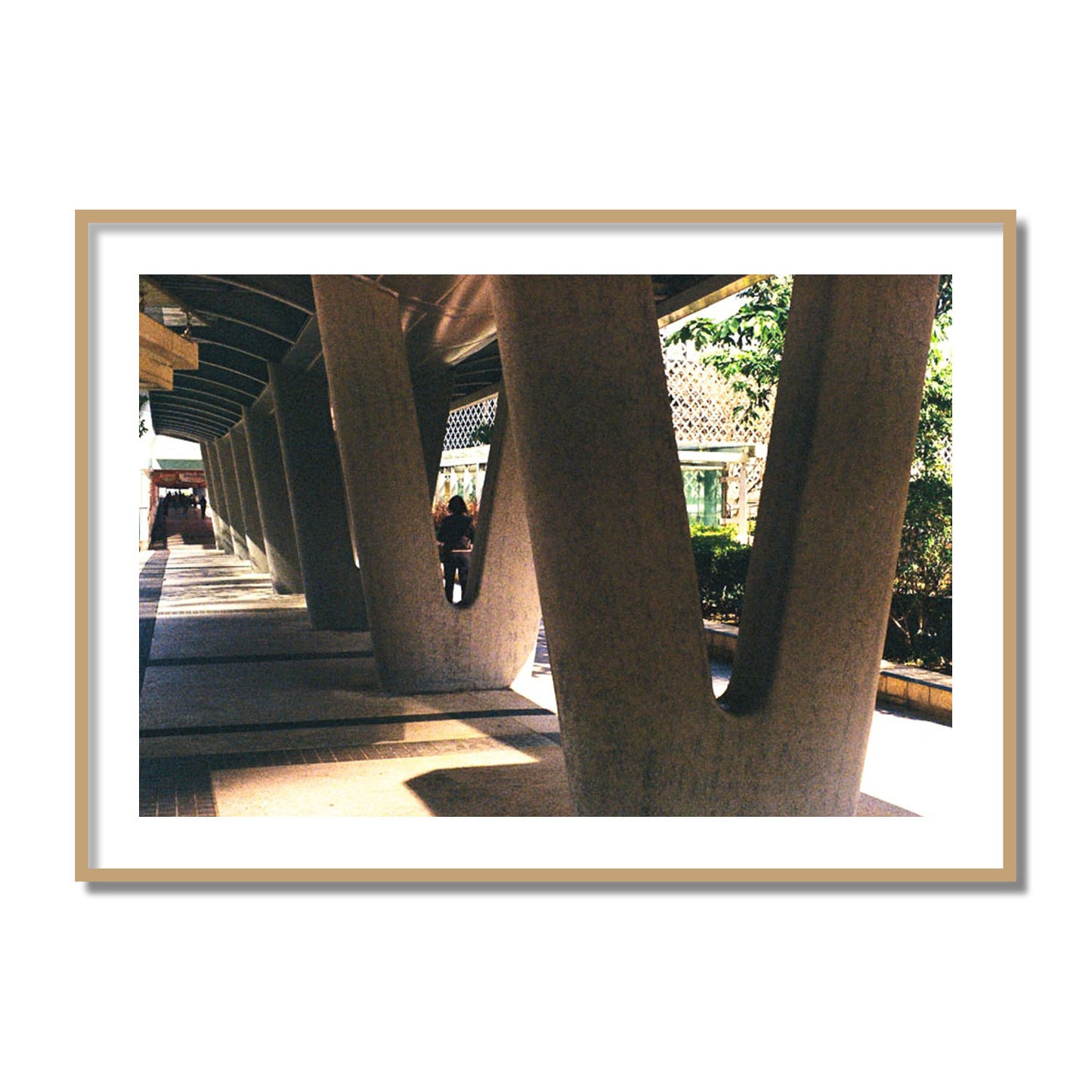 Geometric Walk