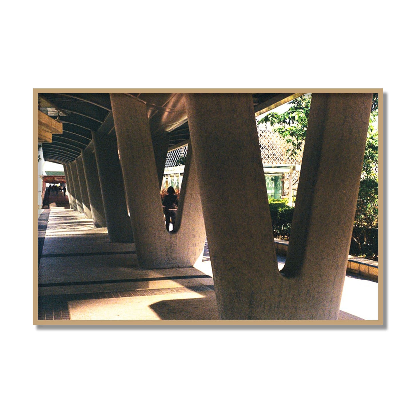 Geometric Walk