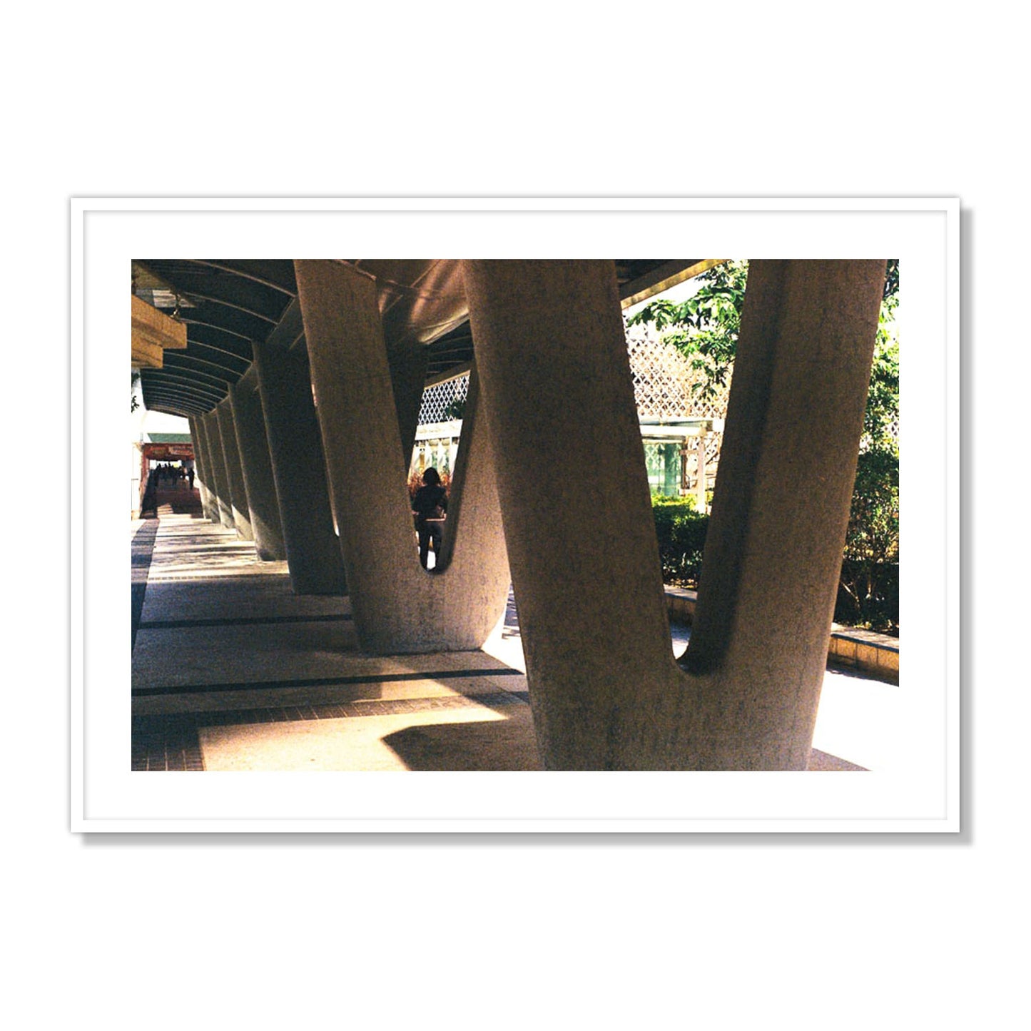 Geometric Walk