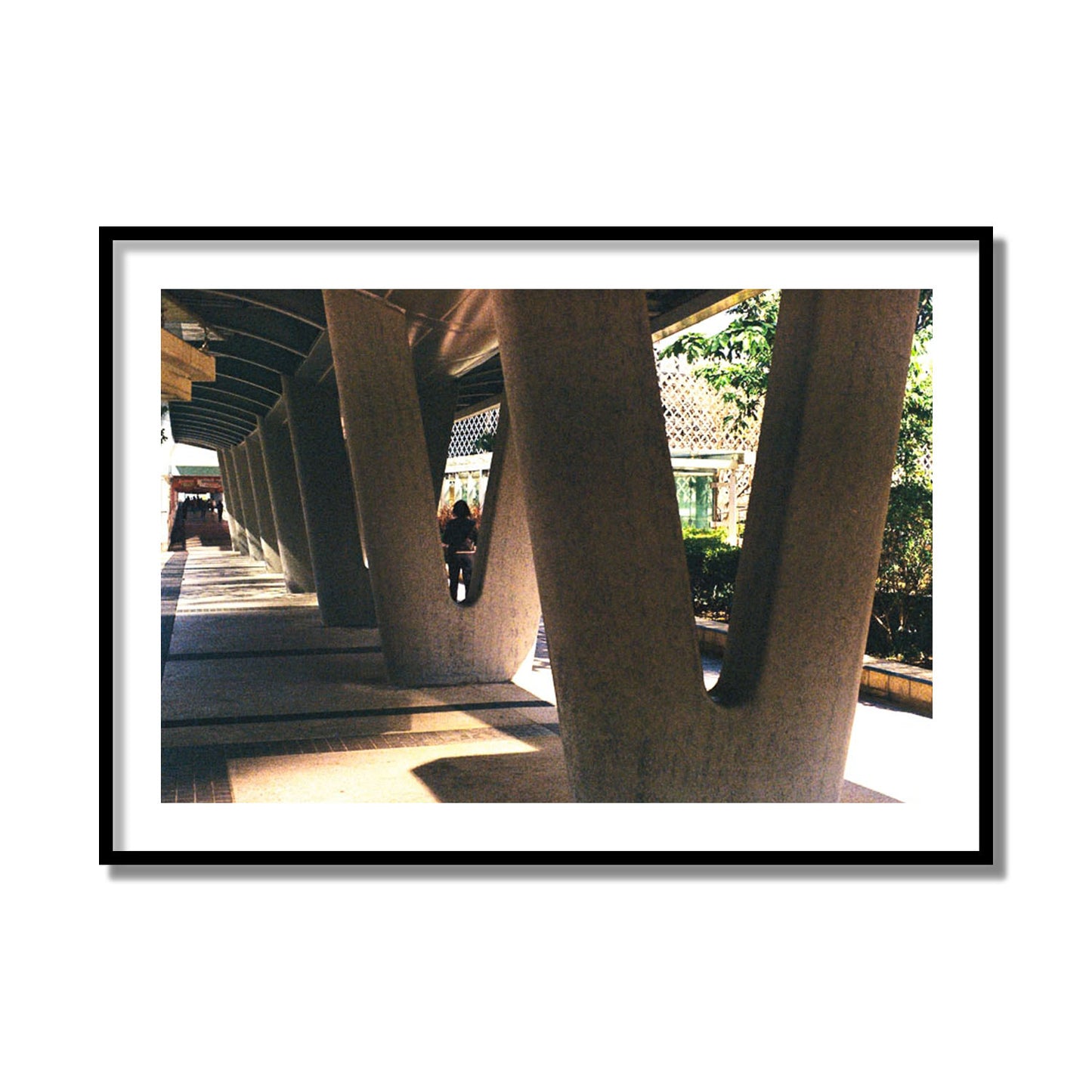 Geometric Walk