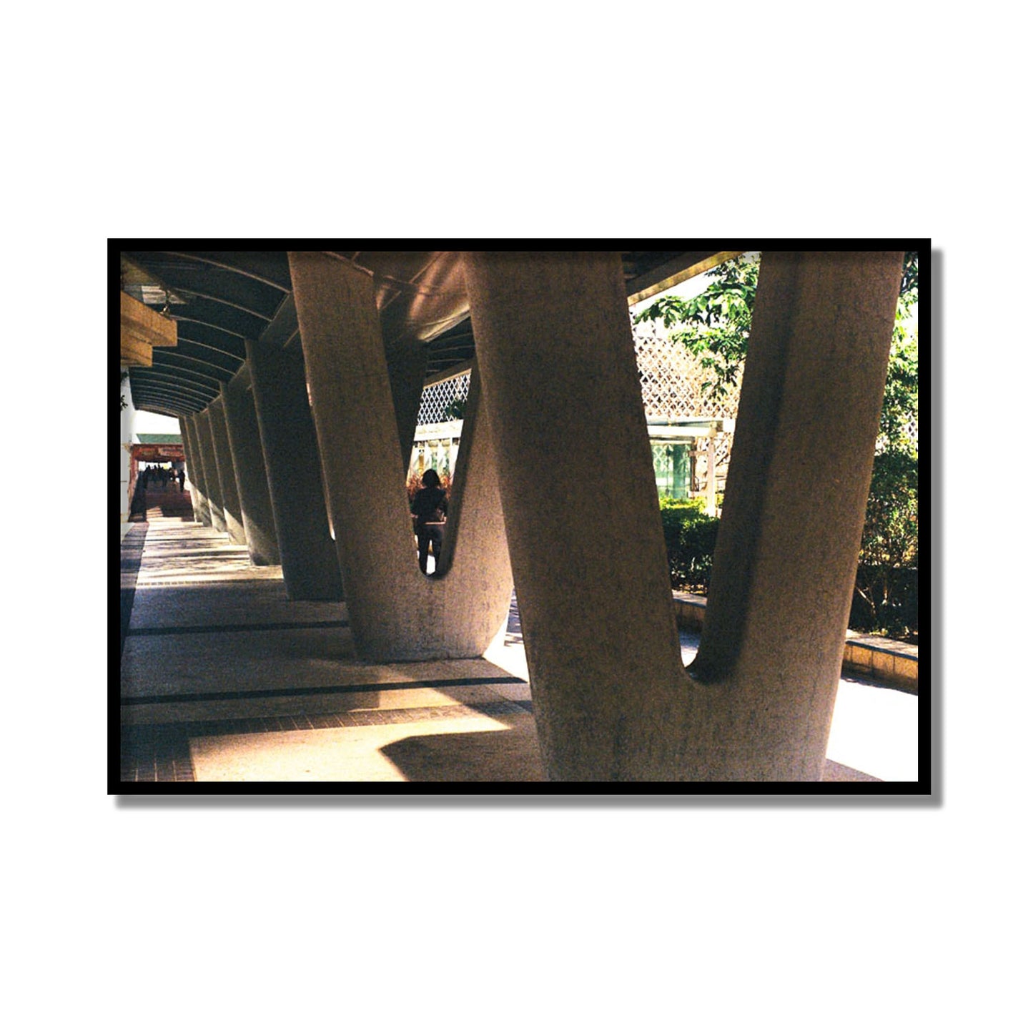 Geometric Walk