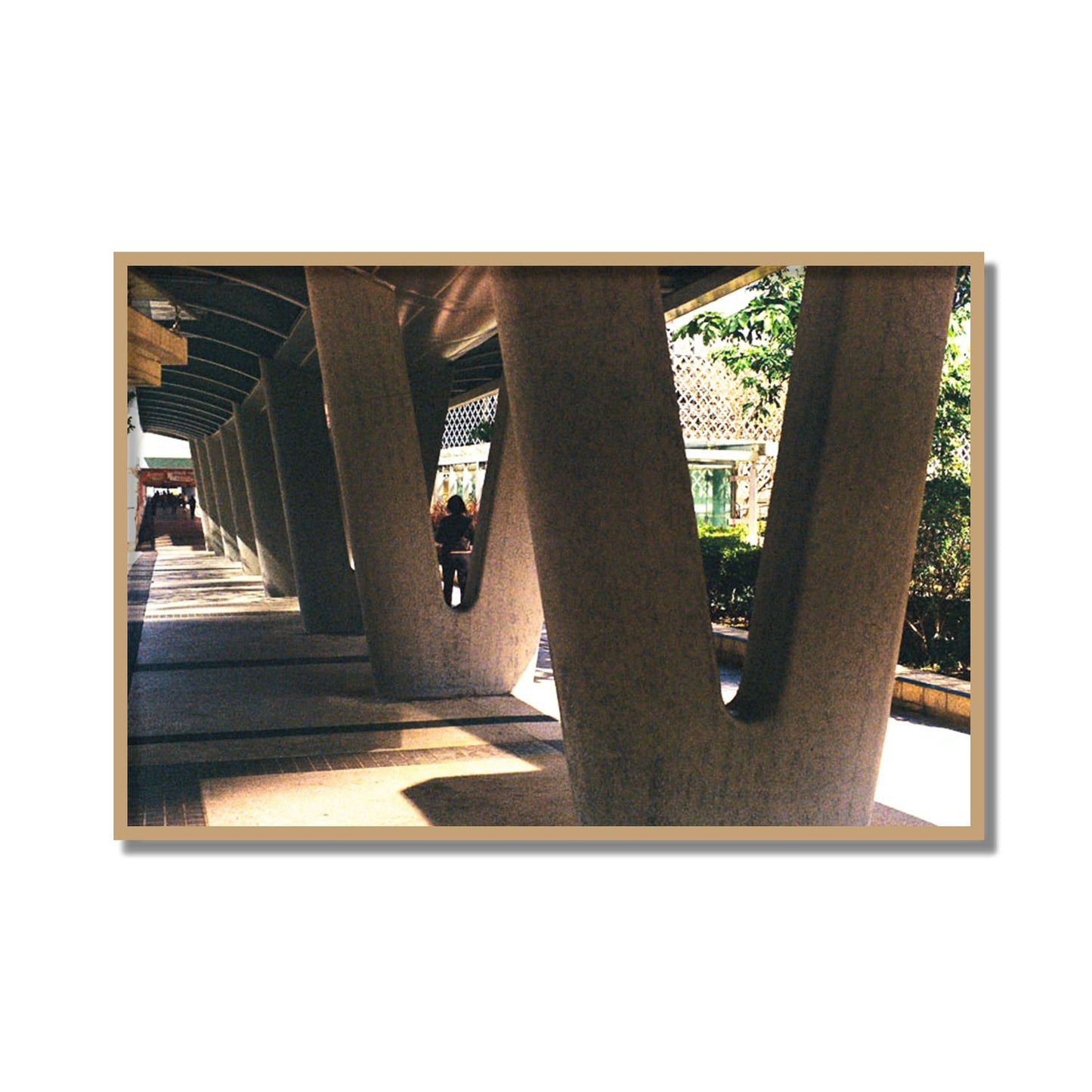 Geometric Walk