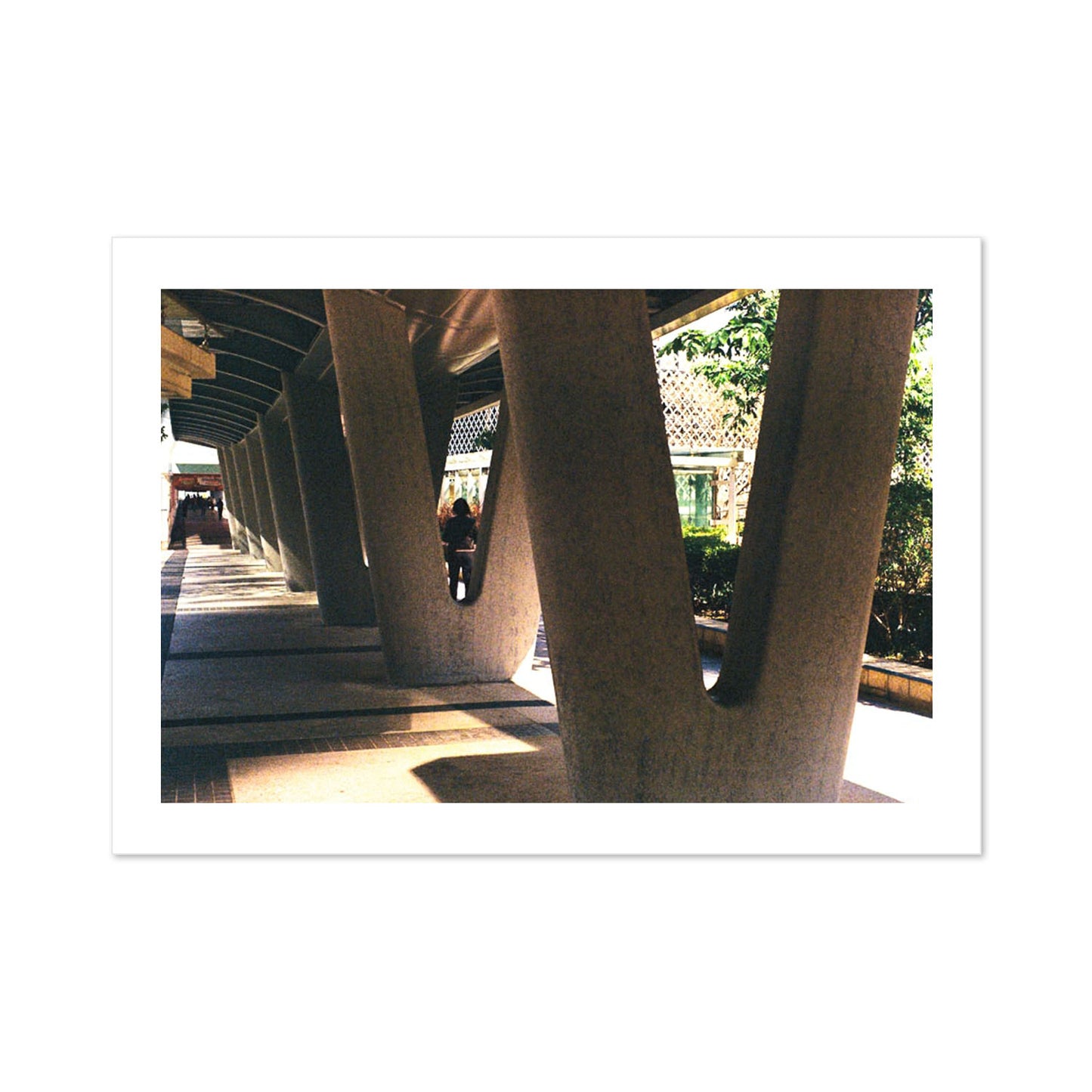 Geometric Walk