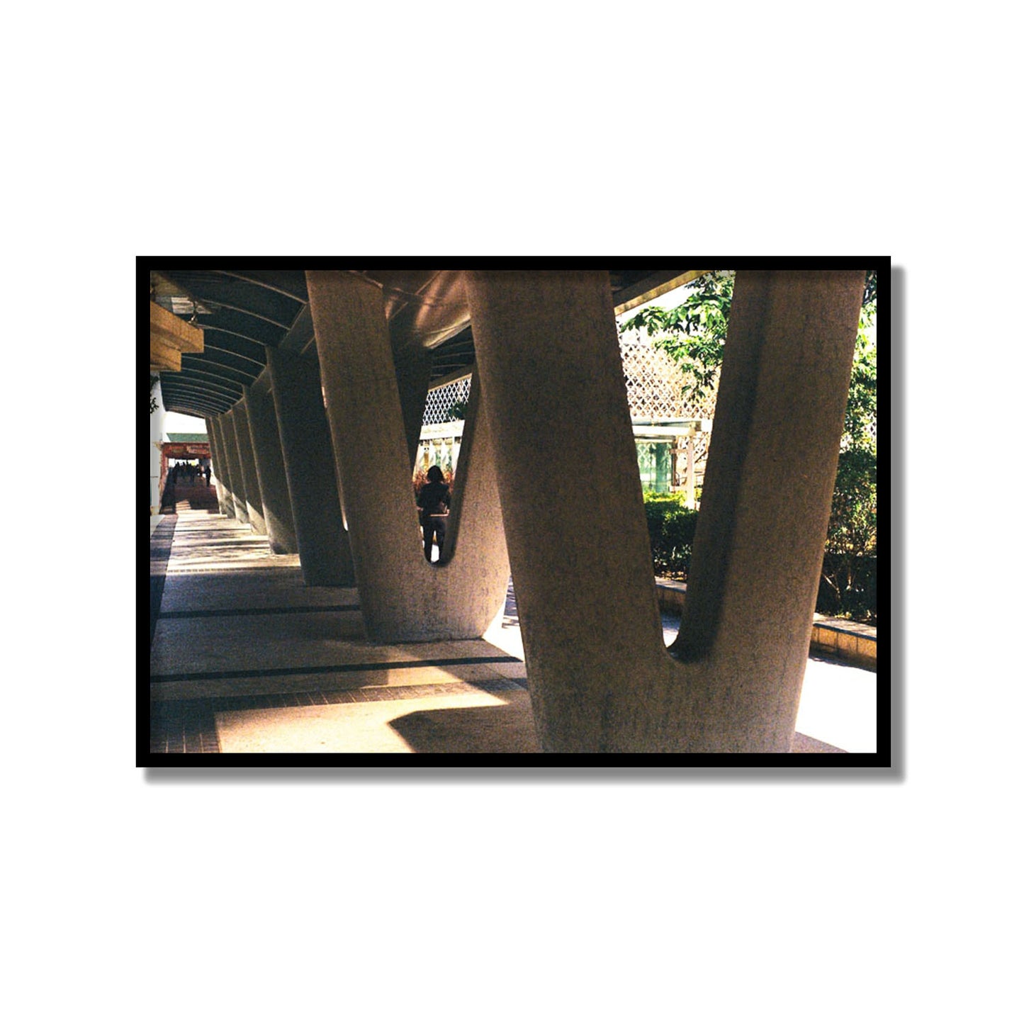 Geometric Walk
