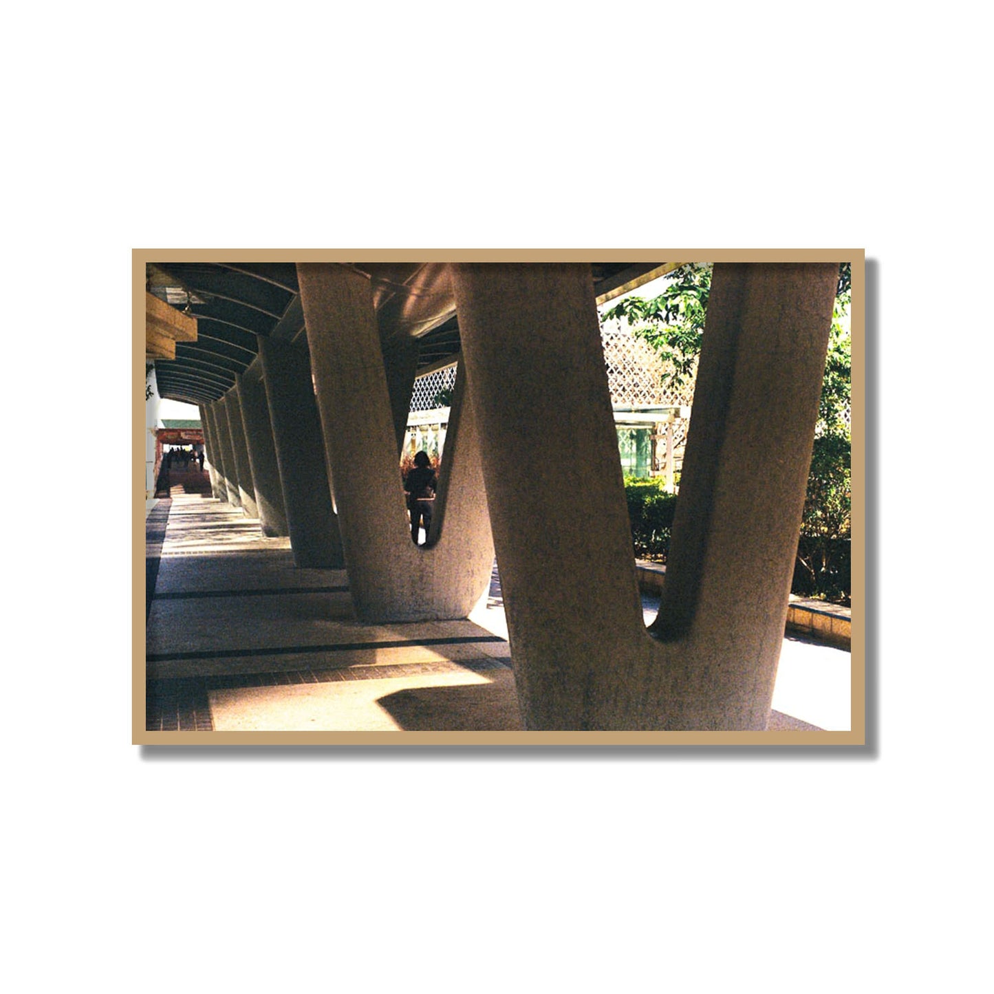 Geometric Walk