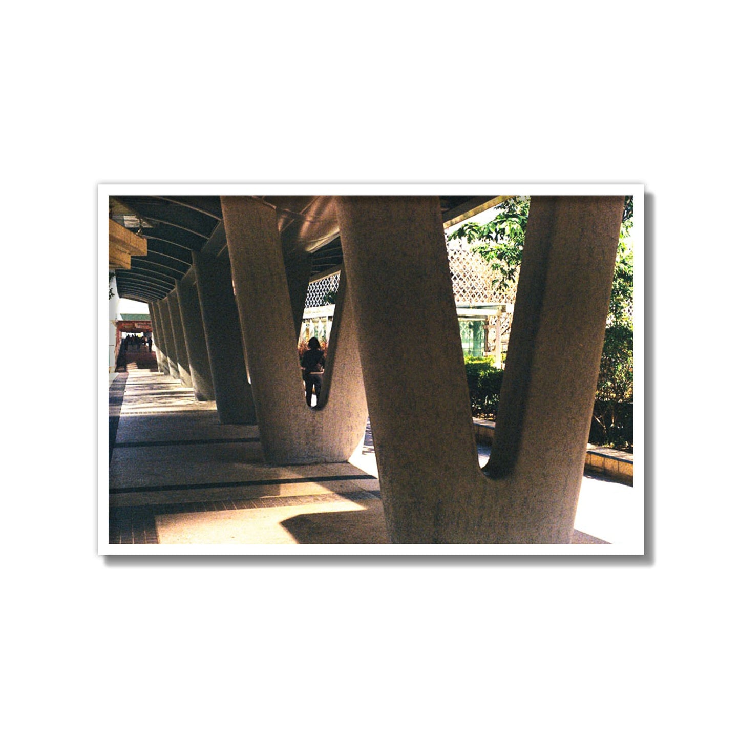 Geometric Walk