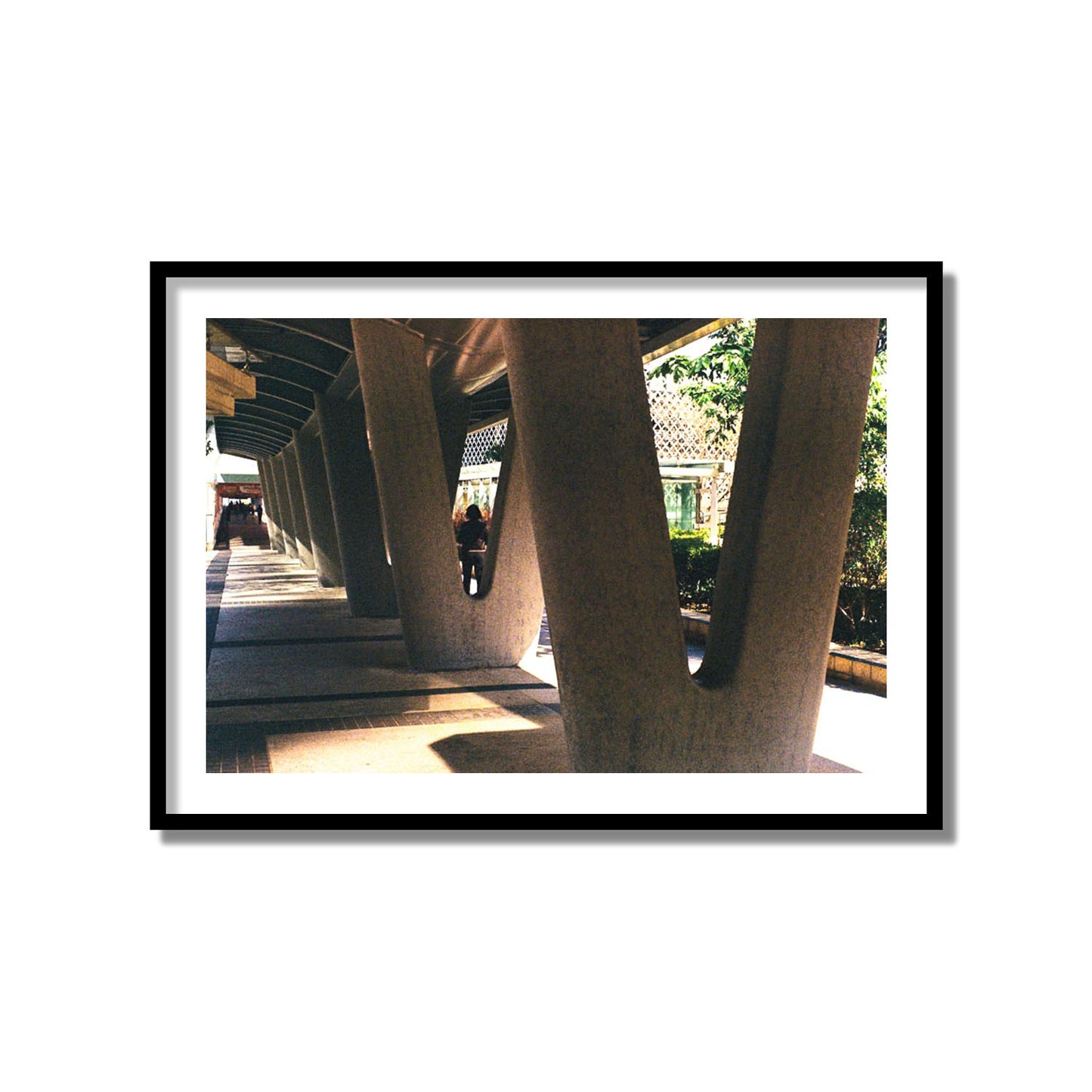 Geometric Walk