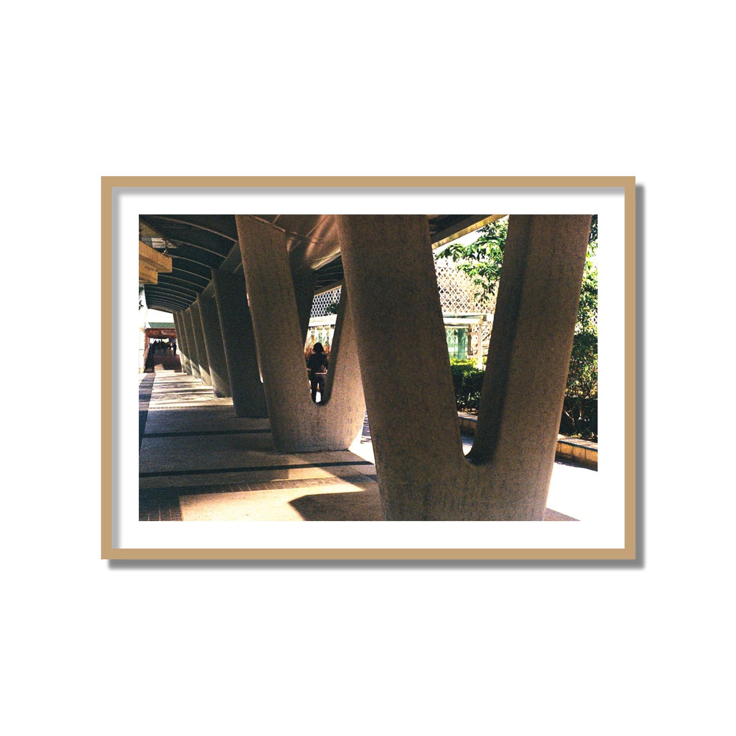 Geometric Walk