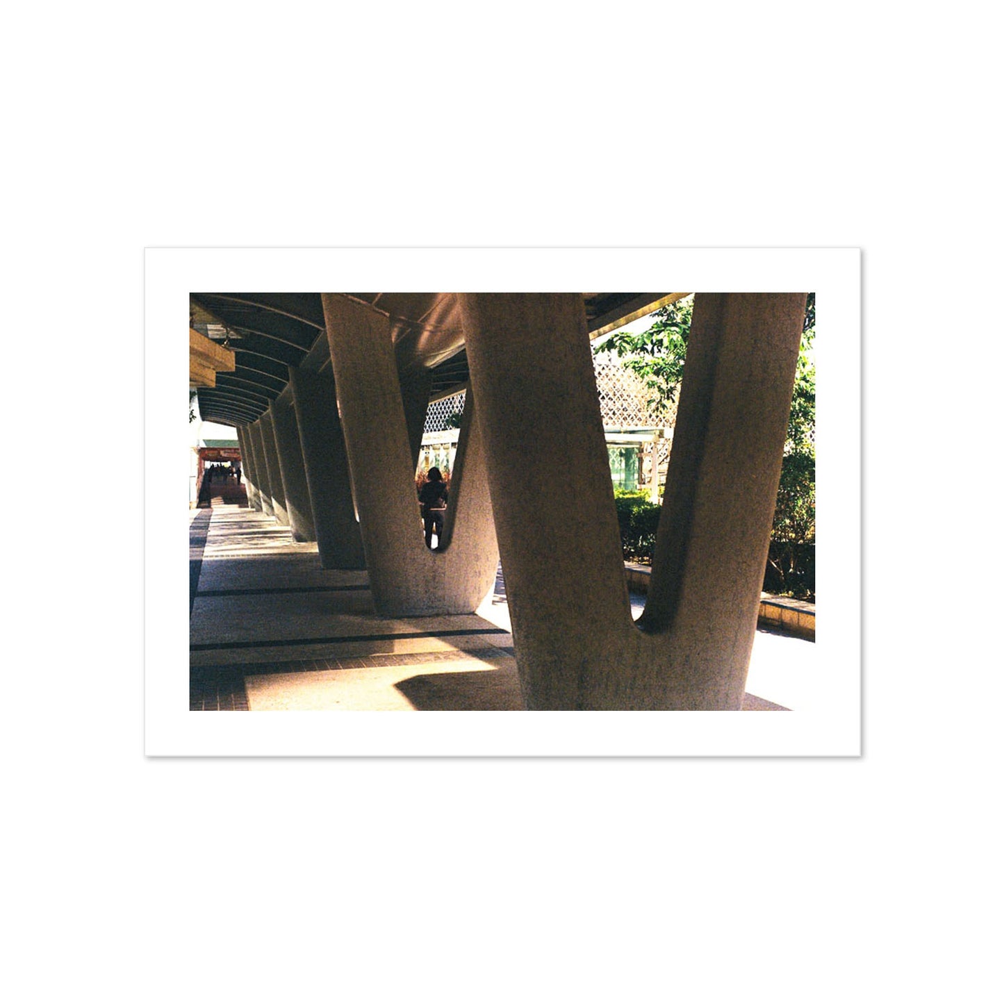 Geometric Walk