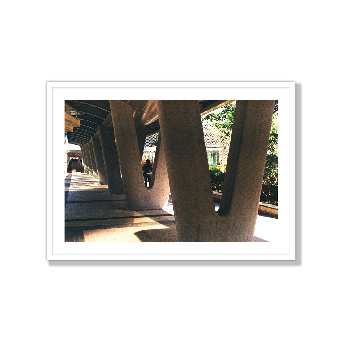 Geometric Walk